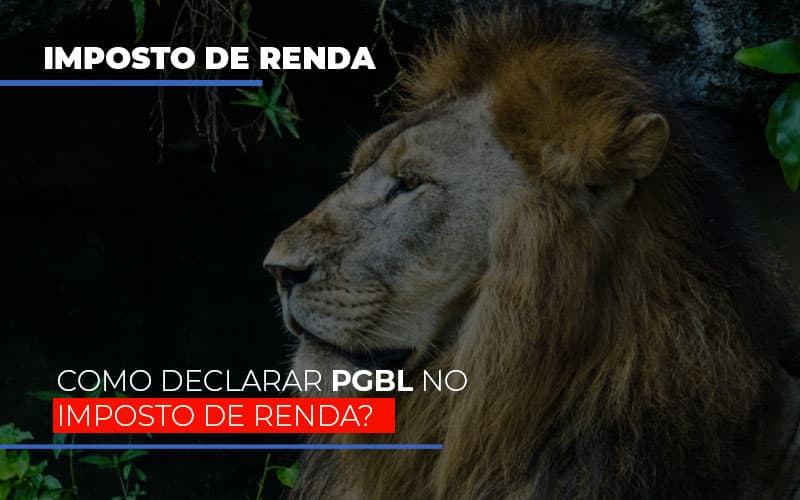 Ir2020:como Declarar Pgbl No Imposto De Renda - Contabilidade em Guarulhos | Boss Contabilidade